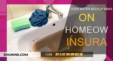 Water Backup Coverage: What Homeowners Need to Know