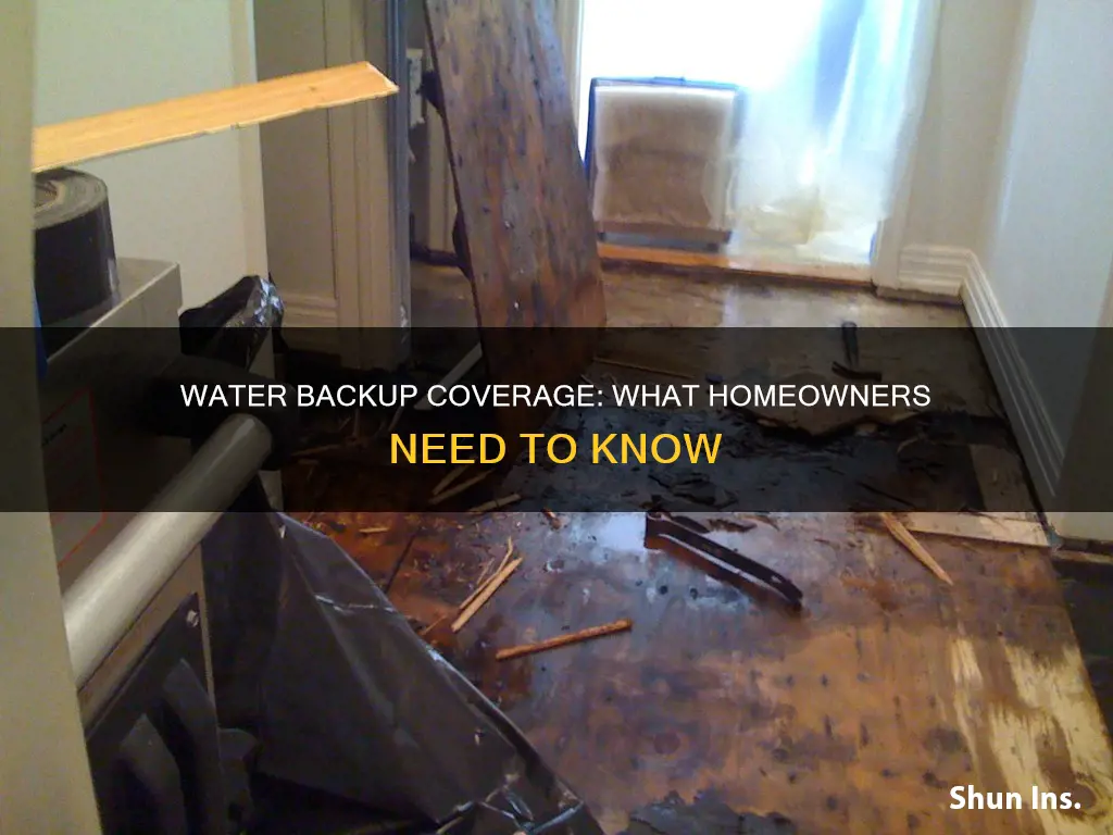 what does water backup meav on homeowners insurance