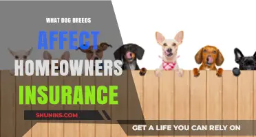 Dog Breeds: Home Insurance Impact