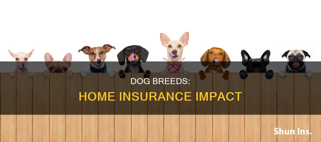 what dog breeds affect homeowners insurance