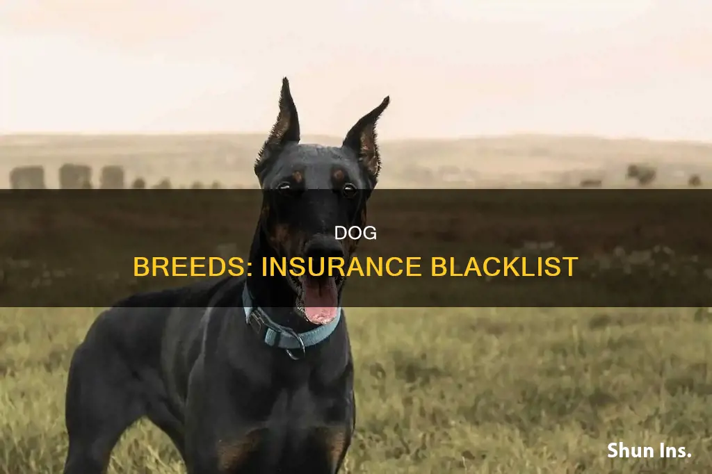 what dog breeds are considered dangerous by insurance