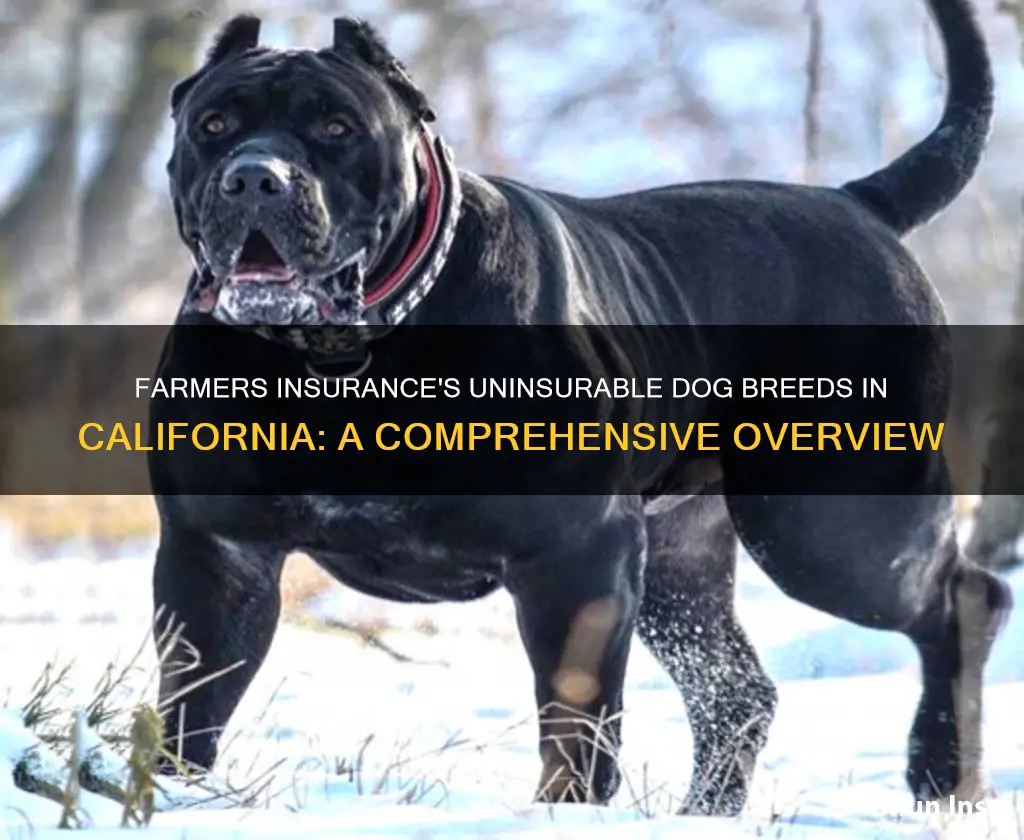 what dog breeds in California does farmers not insure