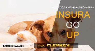 Certain Dog Breeds: Higher Home Insurance Premiums
