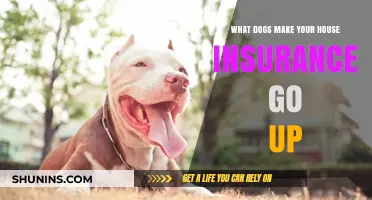 Certain Dog Breeds: Higher Home Insurance Premiums