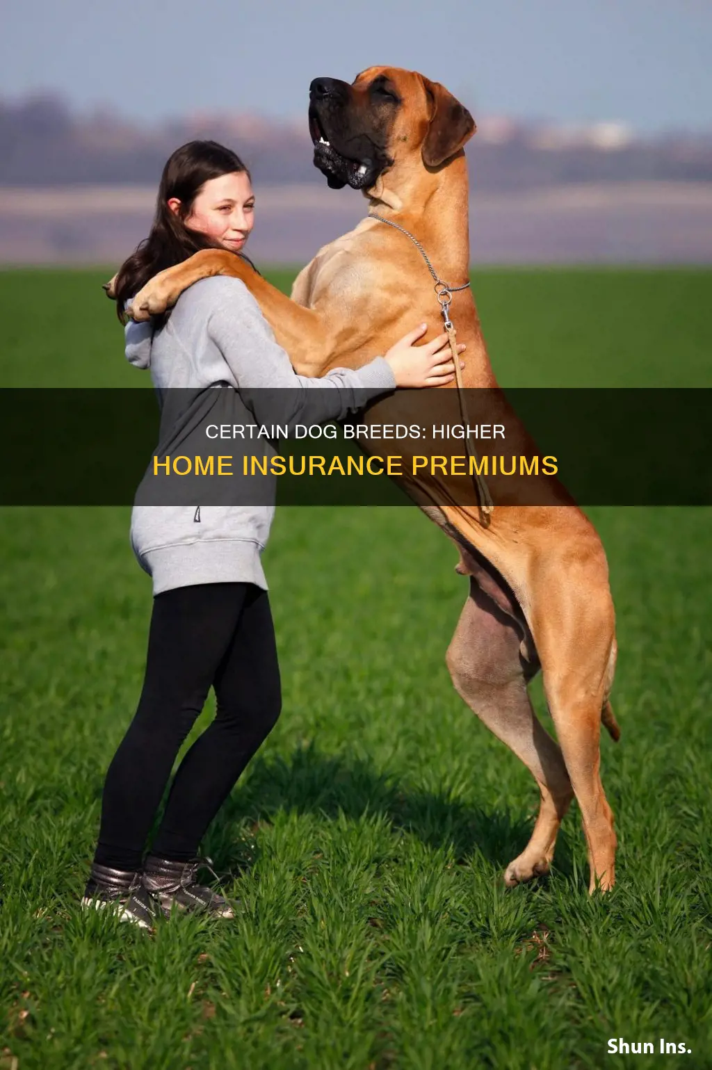 what dogs make your house insurance go up