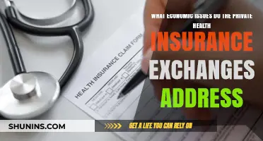 Economic Solutions: How Private Health Insurance Exchanges Tackle Key Issues