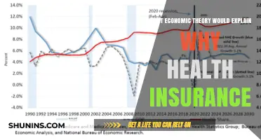 Exploring Economic Theories Behind Health Insurance Dynamics