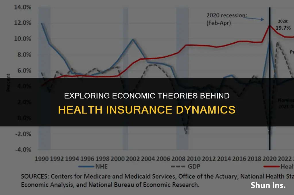 what economic theory would explain why health insurance