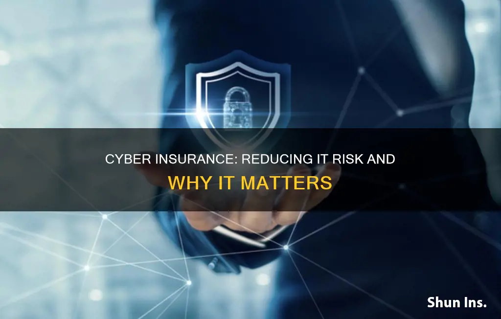 what effect does cyber insurance have on it risk