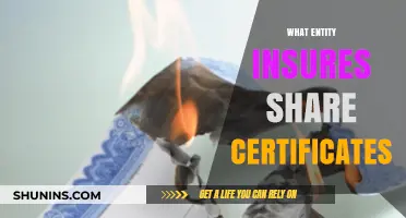 Who Protects Your Investment: Understanding Share Certificate Insurance Entities