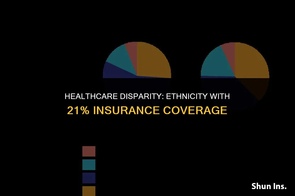 what ethnicity has only 21 percent of health insurance