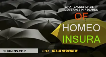 Excess Liability Coverage: Protecting Your Homeowner's Insurance