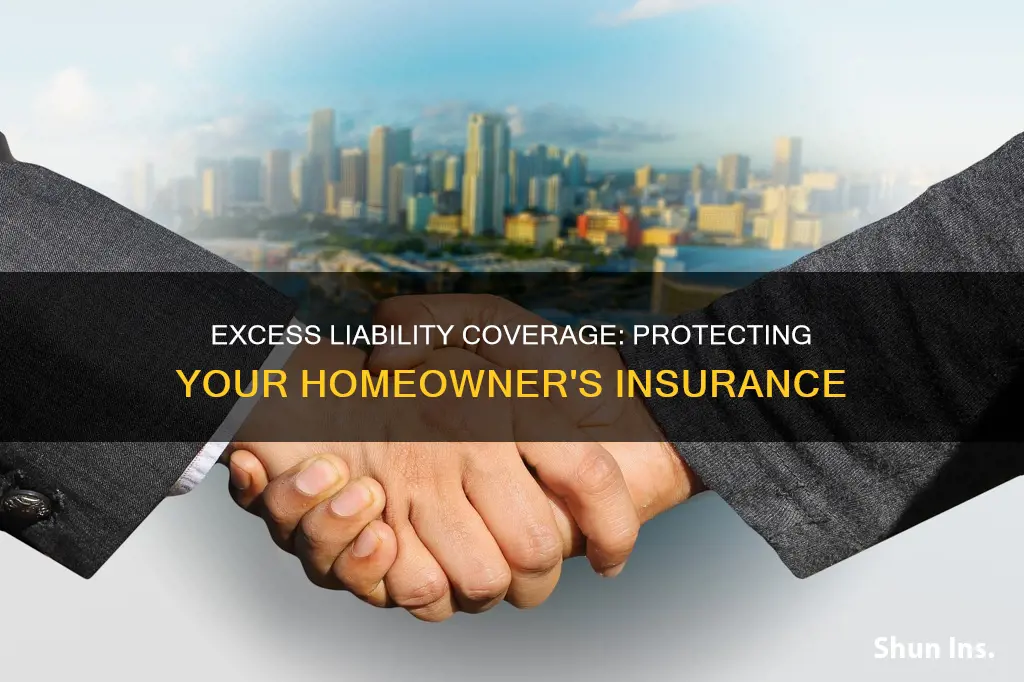what excess liability coverage in regards of homeowner insurance