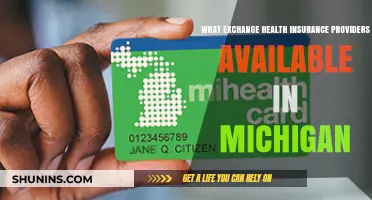Exploring Health Insurance Options in Michigan: A Comprehensive Guide
