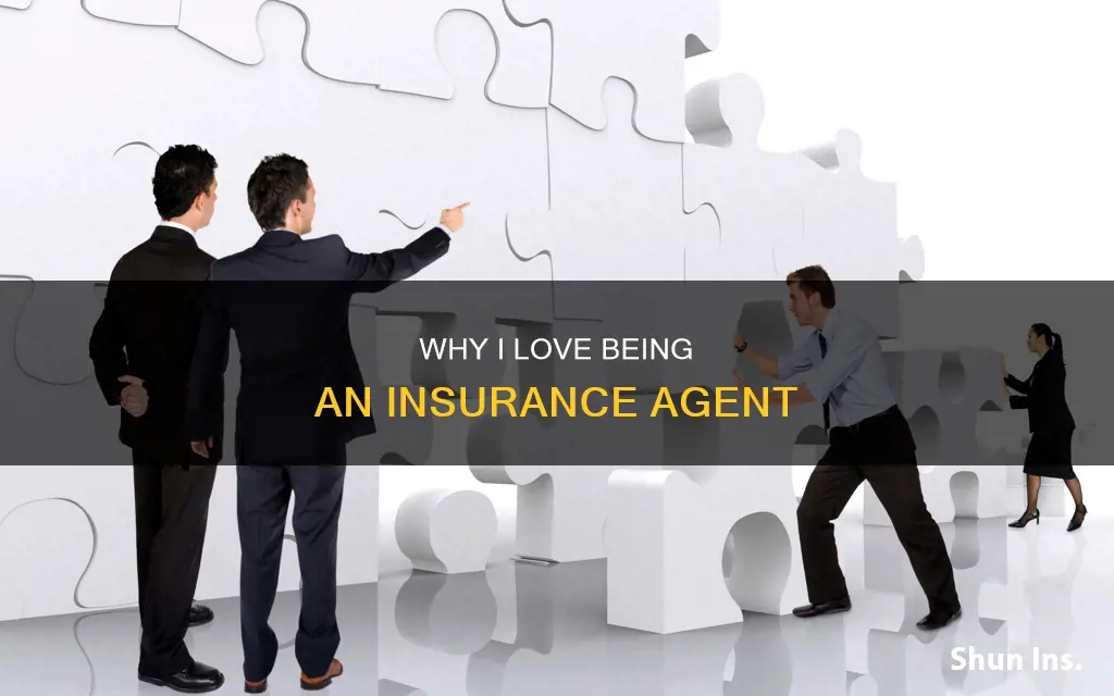 what excites you about insurance agent job