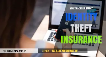 Identity Theft Insurance: Factors to Consider
