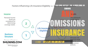 Understanding Errors and Omissions Insurance Structure Determinants