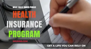 Understanding Coverage: What Falls Under Public Health Insurance Programs