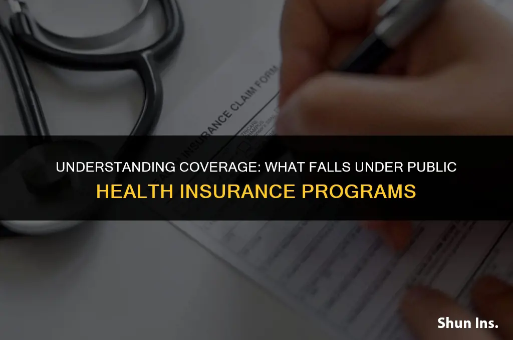 what falls under public health insurance program
