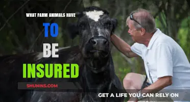 Essential Farm Animal Insurance: Which Livestock Requires Coverage?