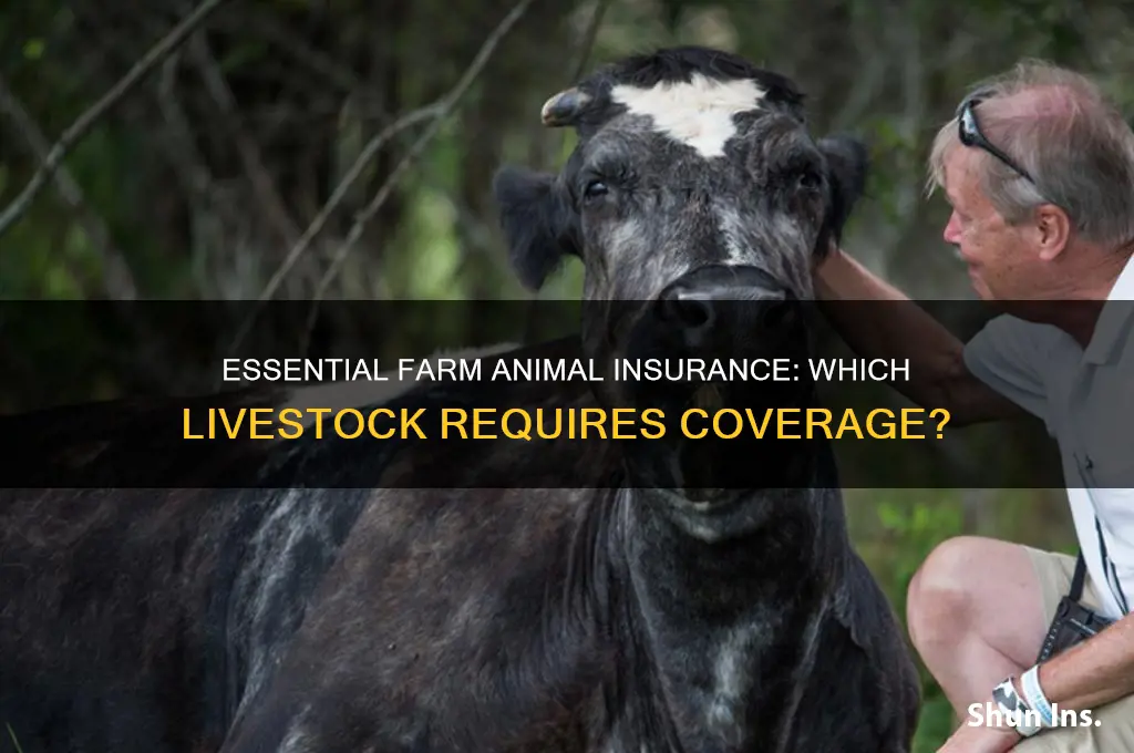 what farm animals have to be insured