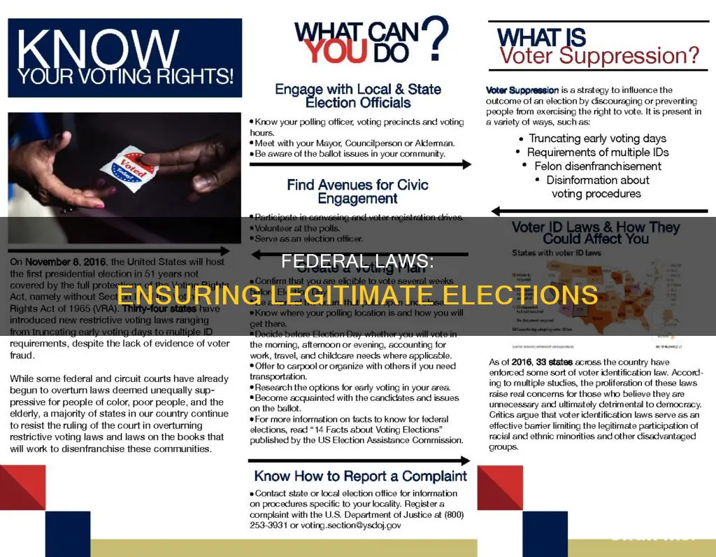 what federal laws insure election legitimacy