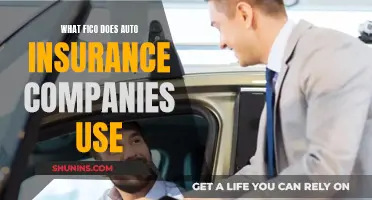 Auto Insurance: FICO Scores Used by Companies