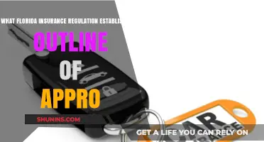 Florida's Insurance Regulation: Approaching Outline Standards