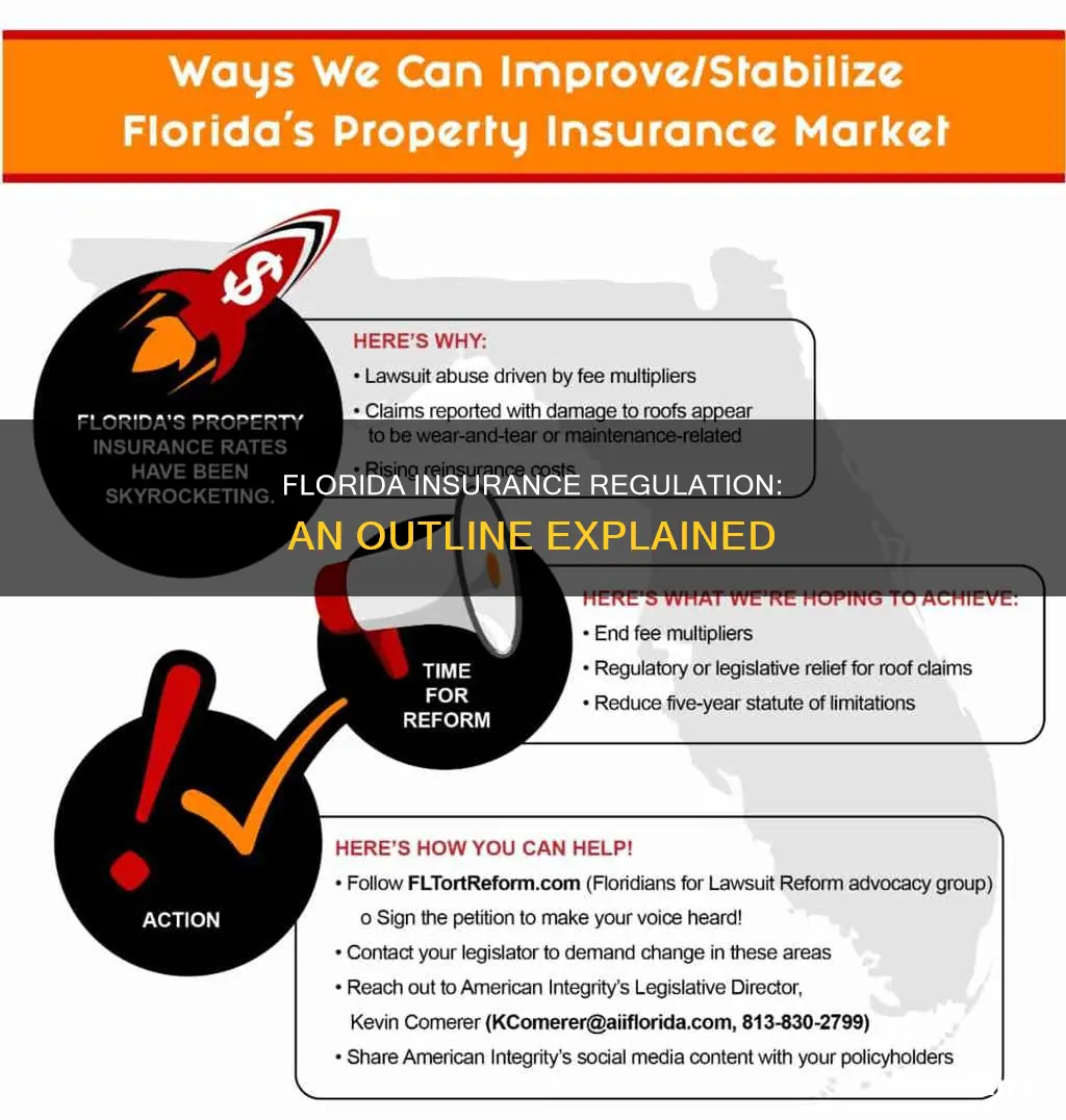 what florida insurance regulation established an outline
