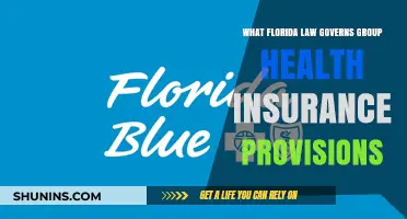 Understanding Florida's Group Health Insurance Provisions: A Guide