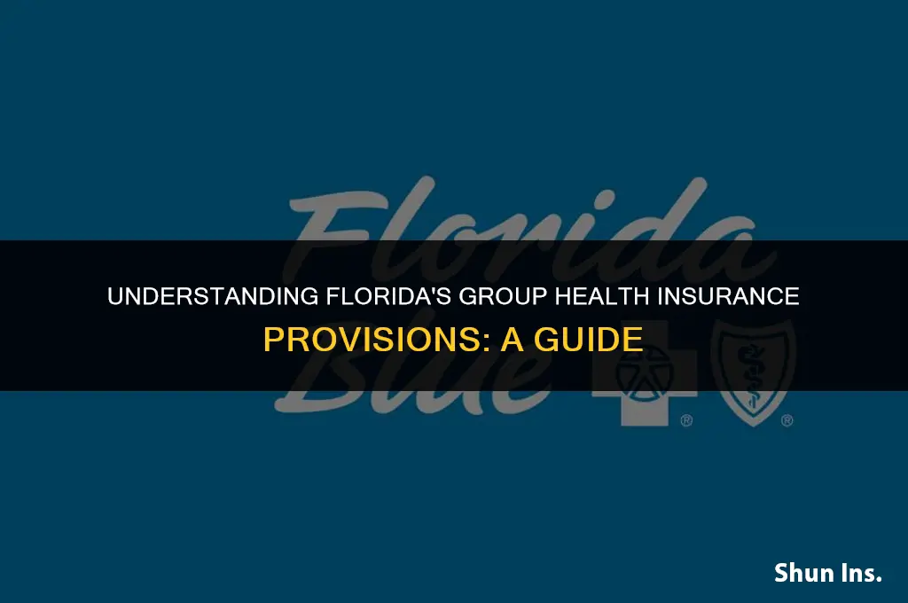 what florida law governs group health insurance provisions