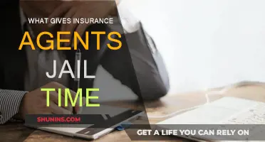 Insurance Fraud: Jail Time for Deceitful Agents
