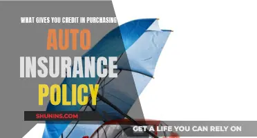 Auto Insurance Policy: What Earns You Credit?