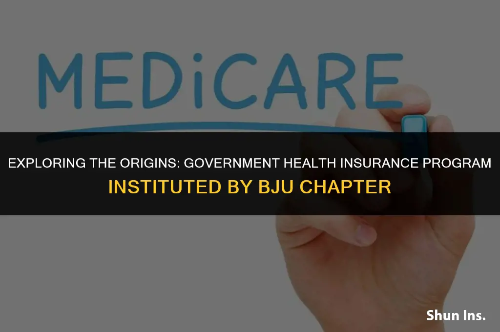 what goverment health insurance program was institued bju chapter
