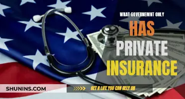 The Private Insurance Government: A Comprehensive Overview