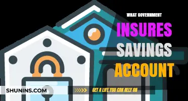 Savings Safety: Insured by the Government