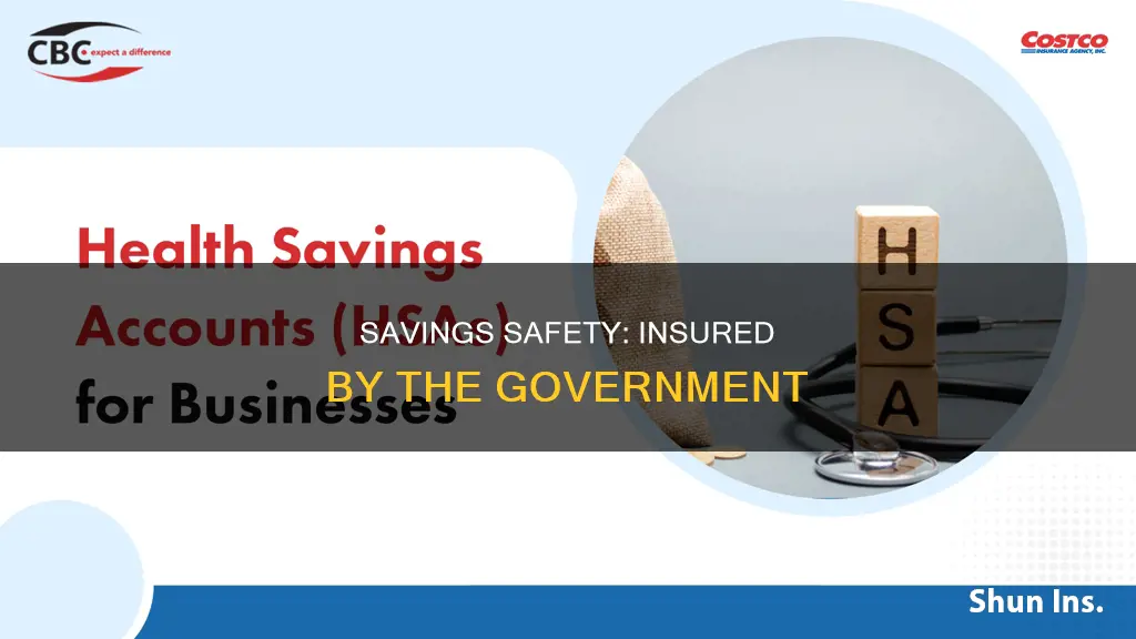what government insures savings account