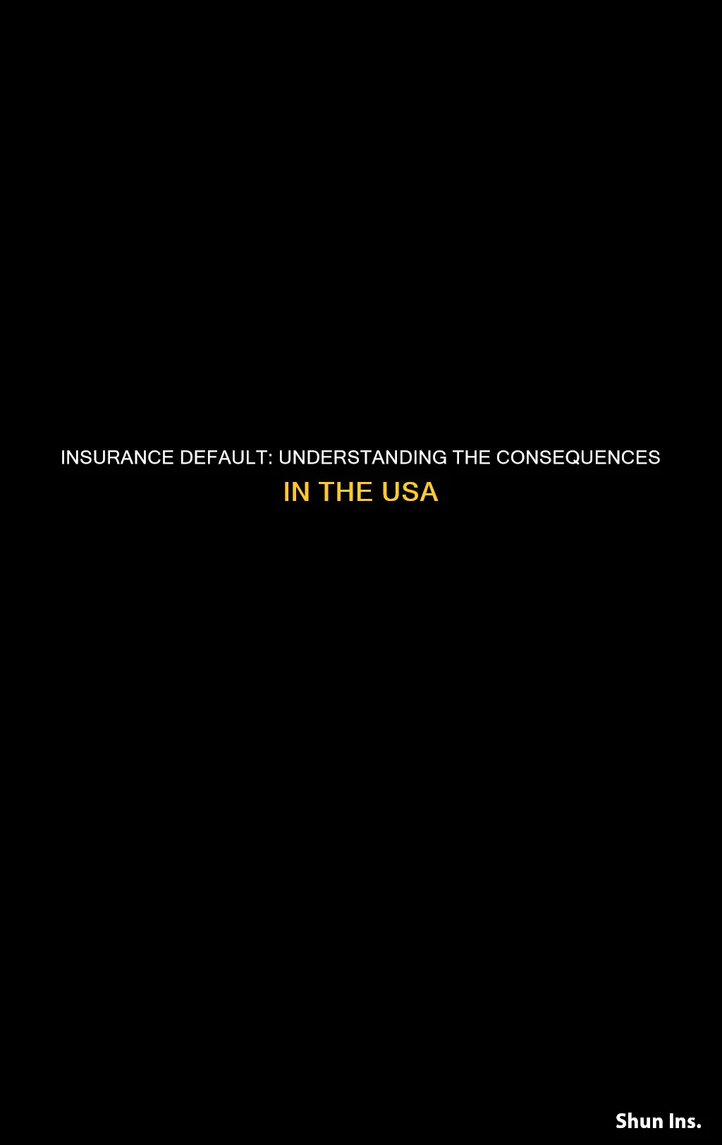 what happen if not paid insurance money in usa