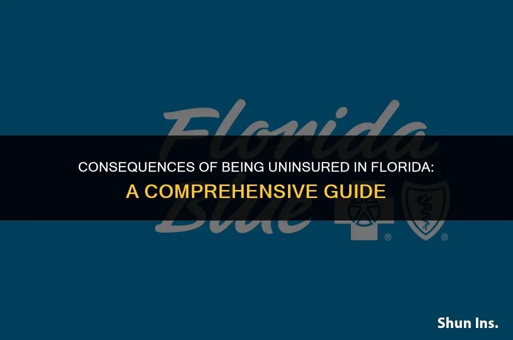 what happen if you dont have health insurance in florida
