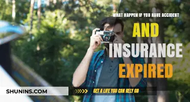 Expired Insurance: Accidents and their Consequences