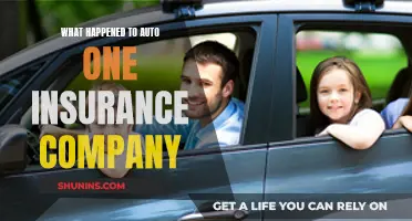 Auto One Insurance Company: What Happened and Why?