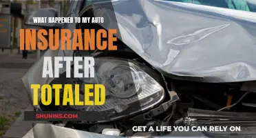 Auto Insurance After a Total Loss: What You Need to Know