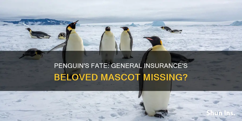 what happened to the penguin in the general insurance commercials