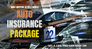 Auto Insurance: Unraveling the Post-6 Month Package Mystery