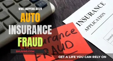 Auto Insurance Fraud: The Aftermath and Impact