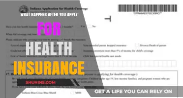 Navigating the Journey: What Happens After You Apply for Health Insurance