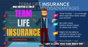 Term Life Insurance: What Happens When You Die?