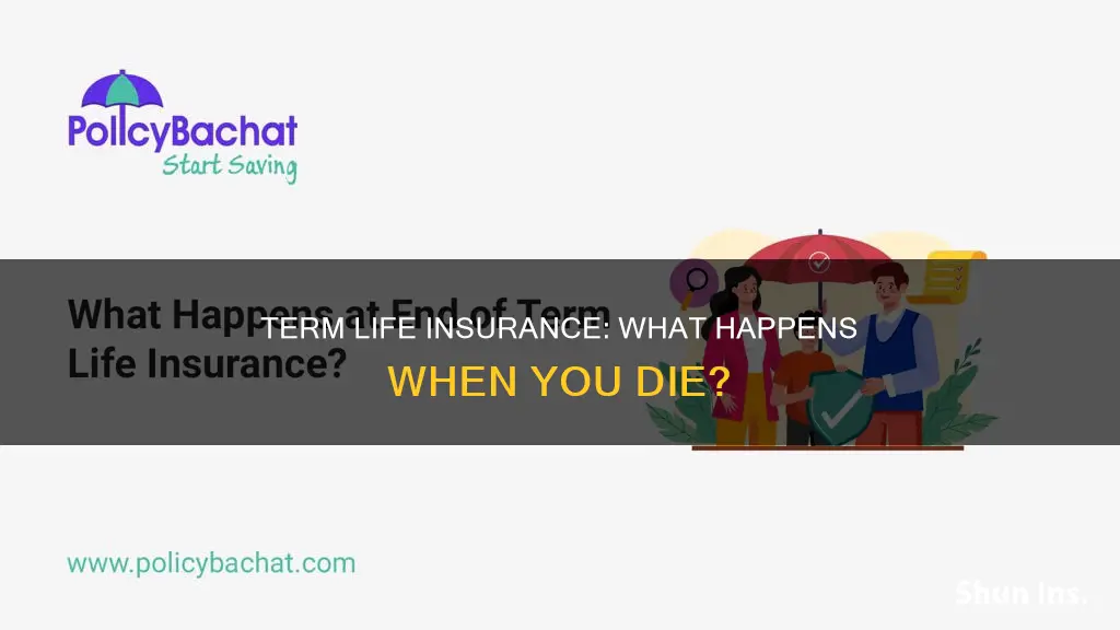 what happens at end of term life insurance