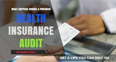 Decoding the Provider Health Insurance Audit Process: What to Expect