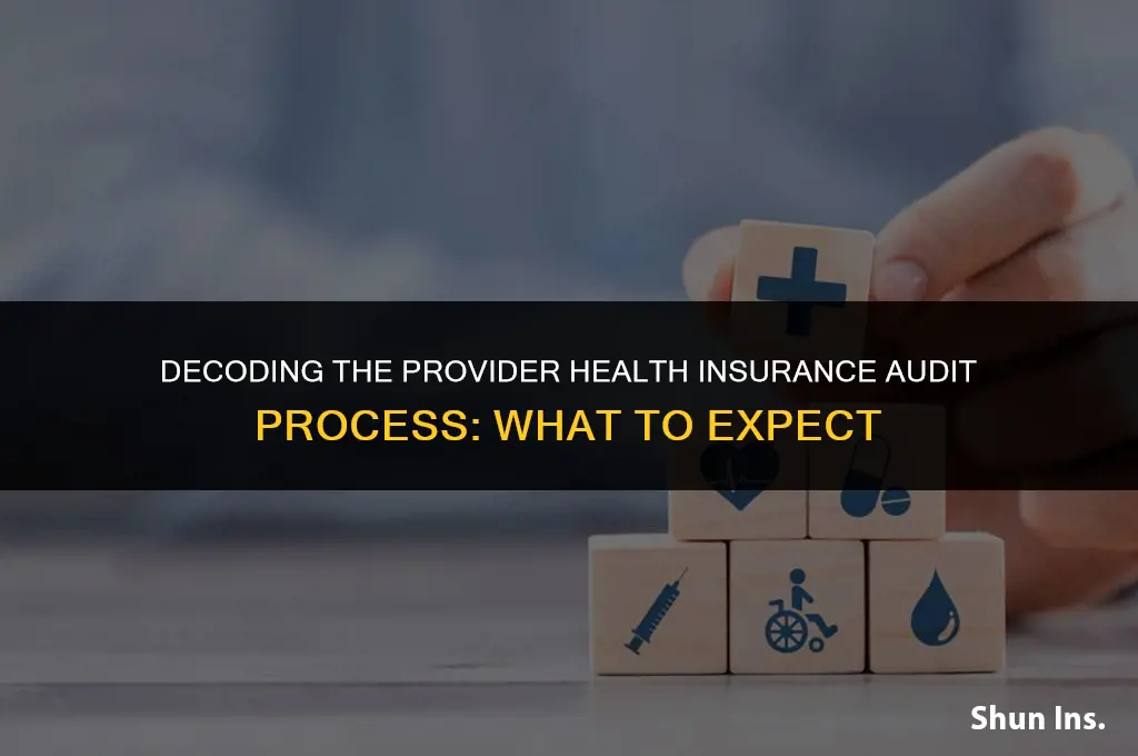what happens during a provider health insurance audit